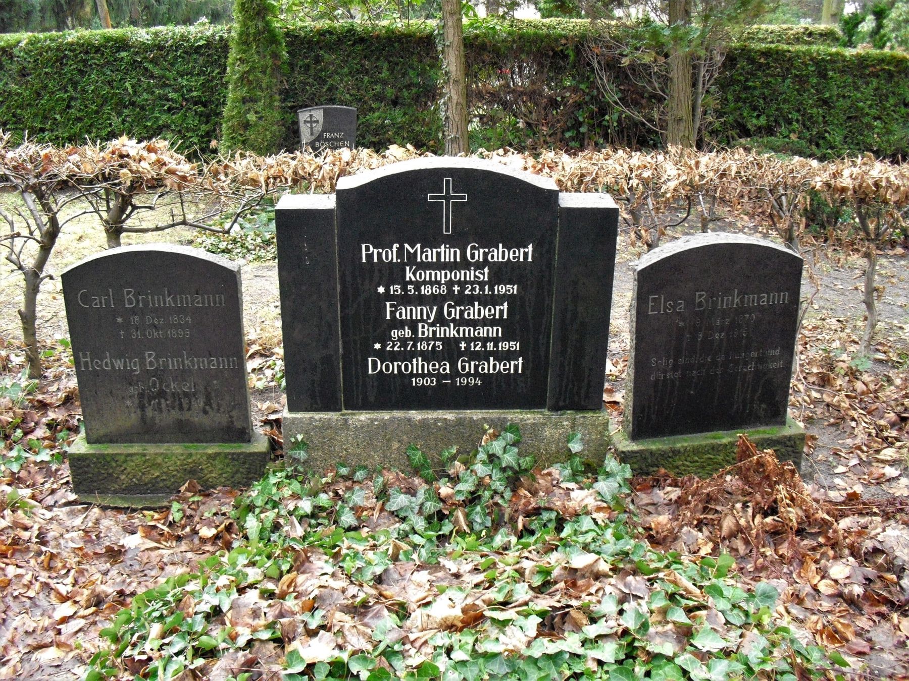 Group of three family headstones amid ivy, fallen leaves and a clipped hedge at Steglitz Cemetery