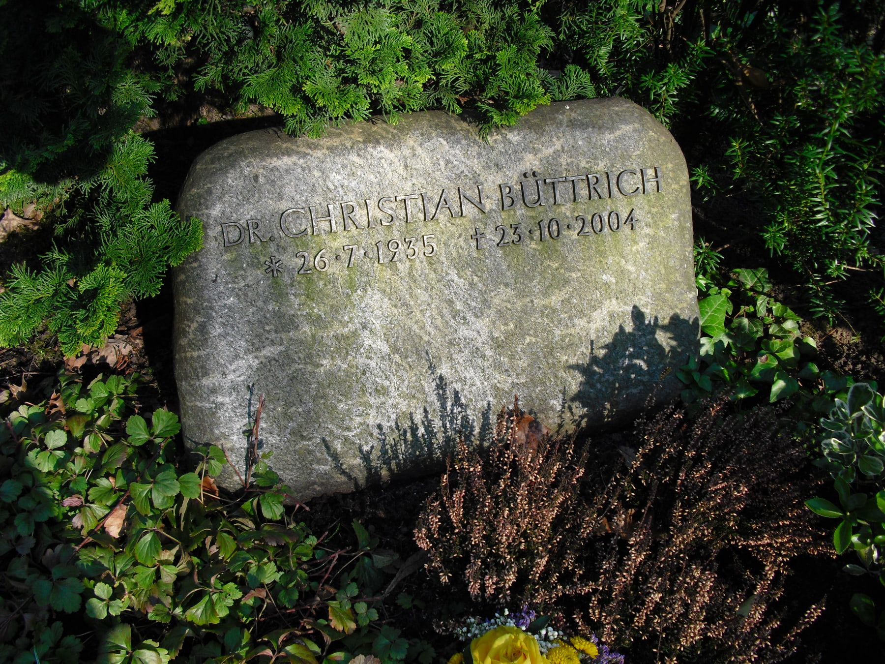 Weathered low headstone shaded by dense evergreen planting at Steglitz Cemetery